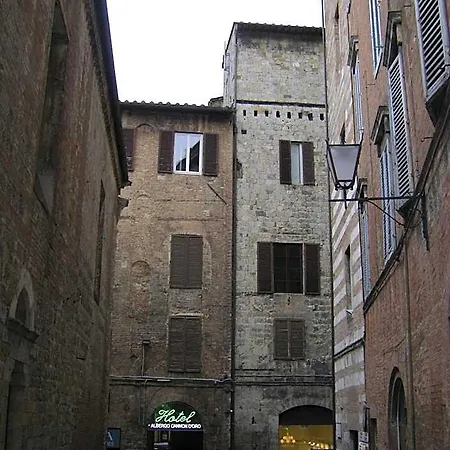 Cannon D'oro 2*